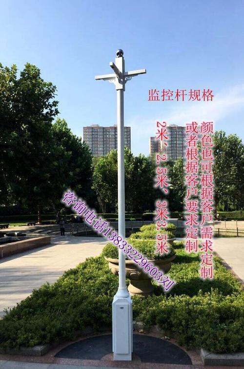 【保定灯谷监控立杆dg-jk2.0】价格,厂家,景观灯-搜了网