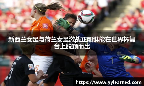 芒果体育官网入口