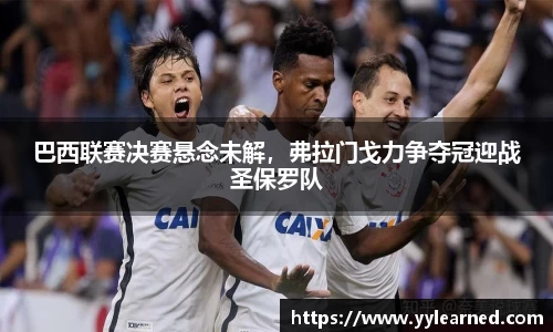 巴西联赛决赛悬念未解，弗拉门戈力争夺冠迎战圣保罗队