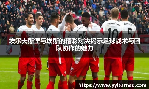 芒果体育官网入口