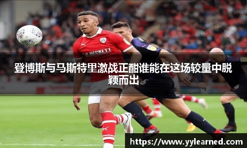 芒果体育官网入口