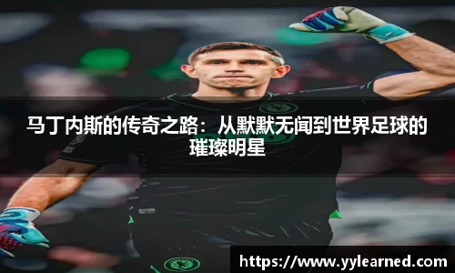 芒果体育官网入口